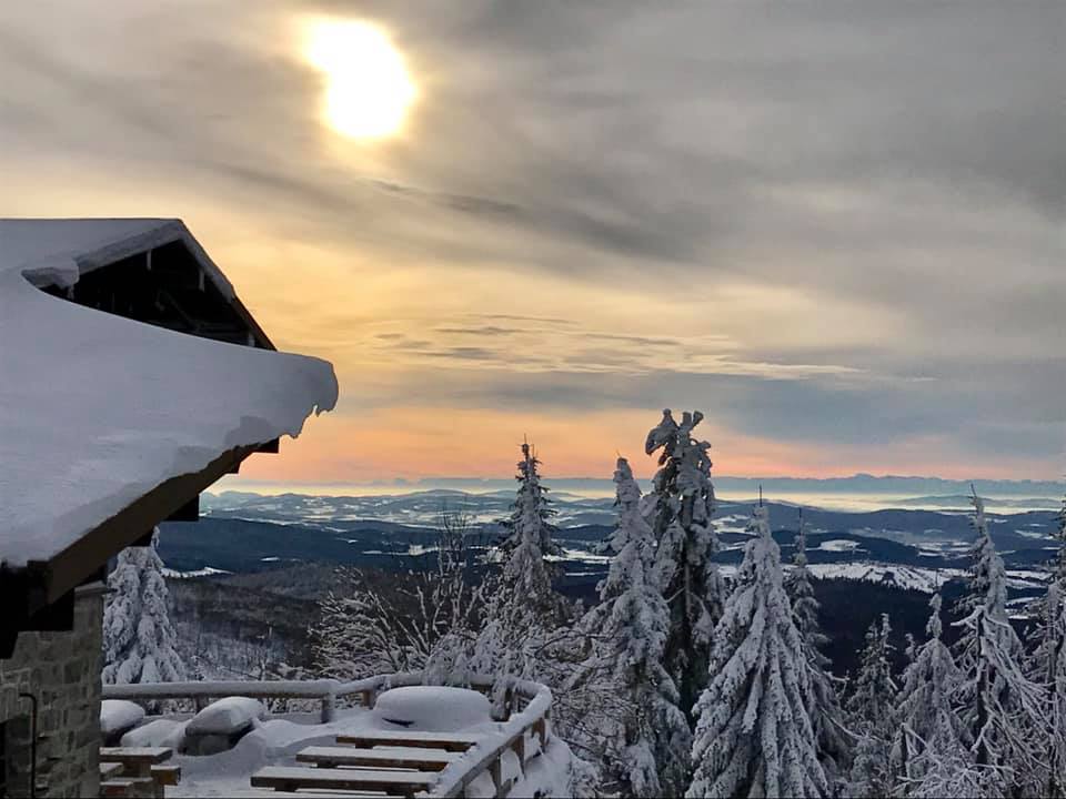 Schlemmer Tage im Waldfrieden